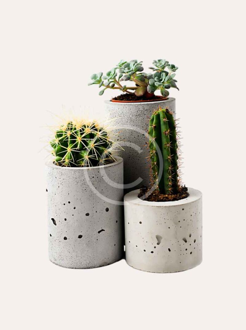 Plant pots set